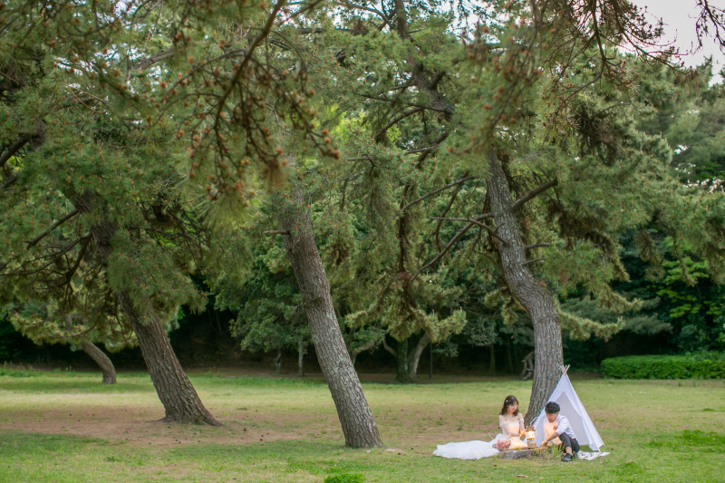 森の中で特別な空間