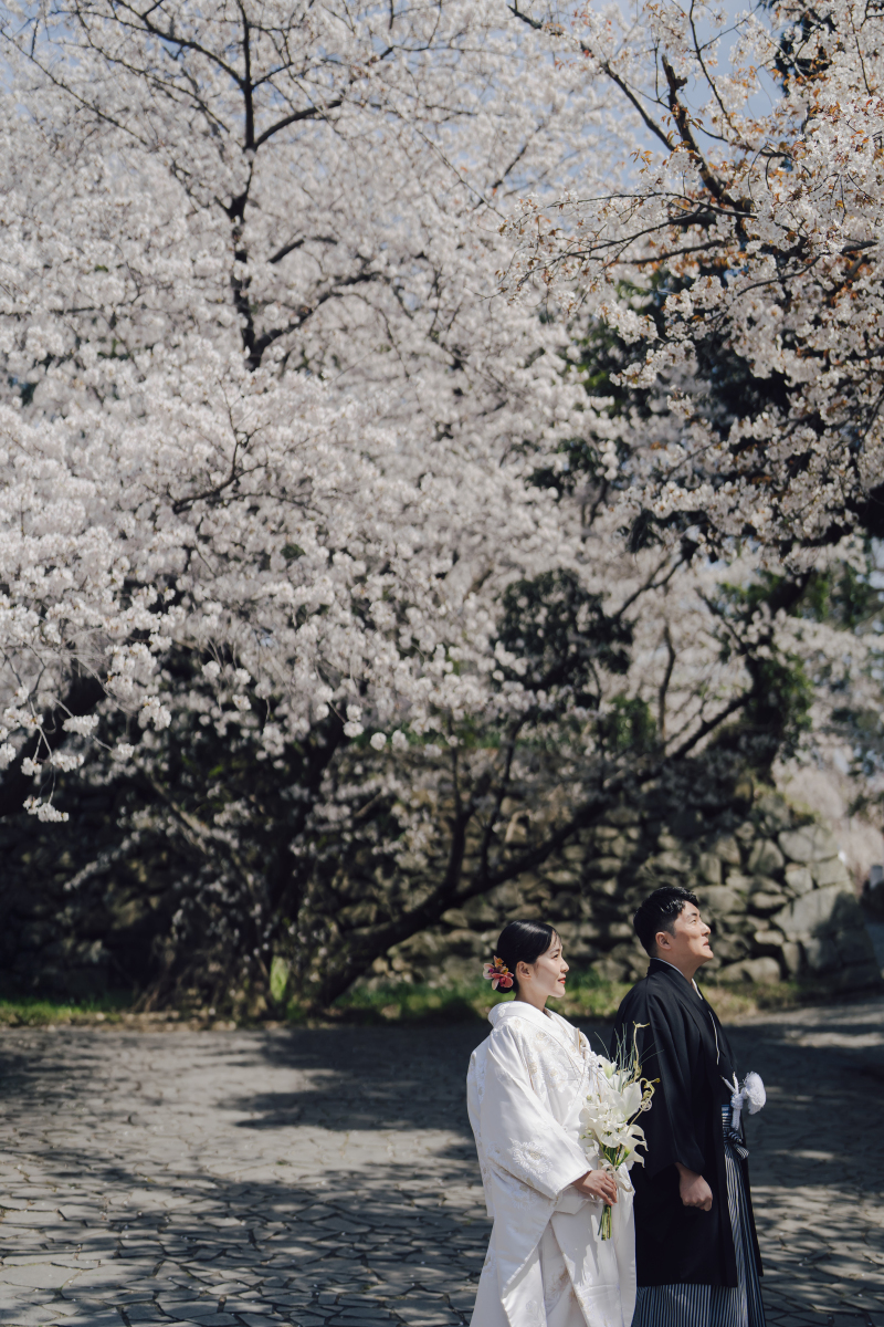 桜の季節での和装撮影