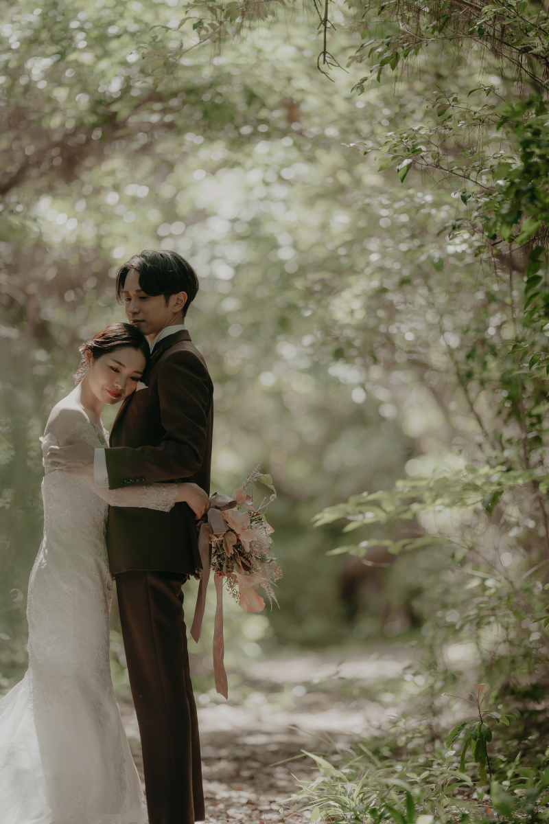  優しく差し込む光