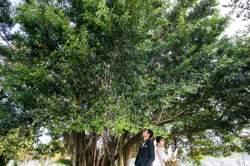 宮交ボタニックガーデン青島