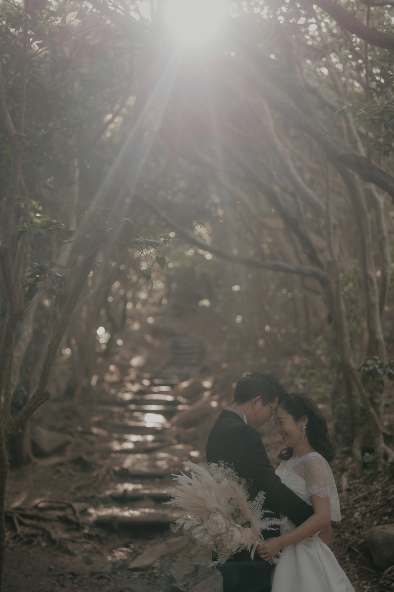 柔らかい光の中で