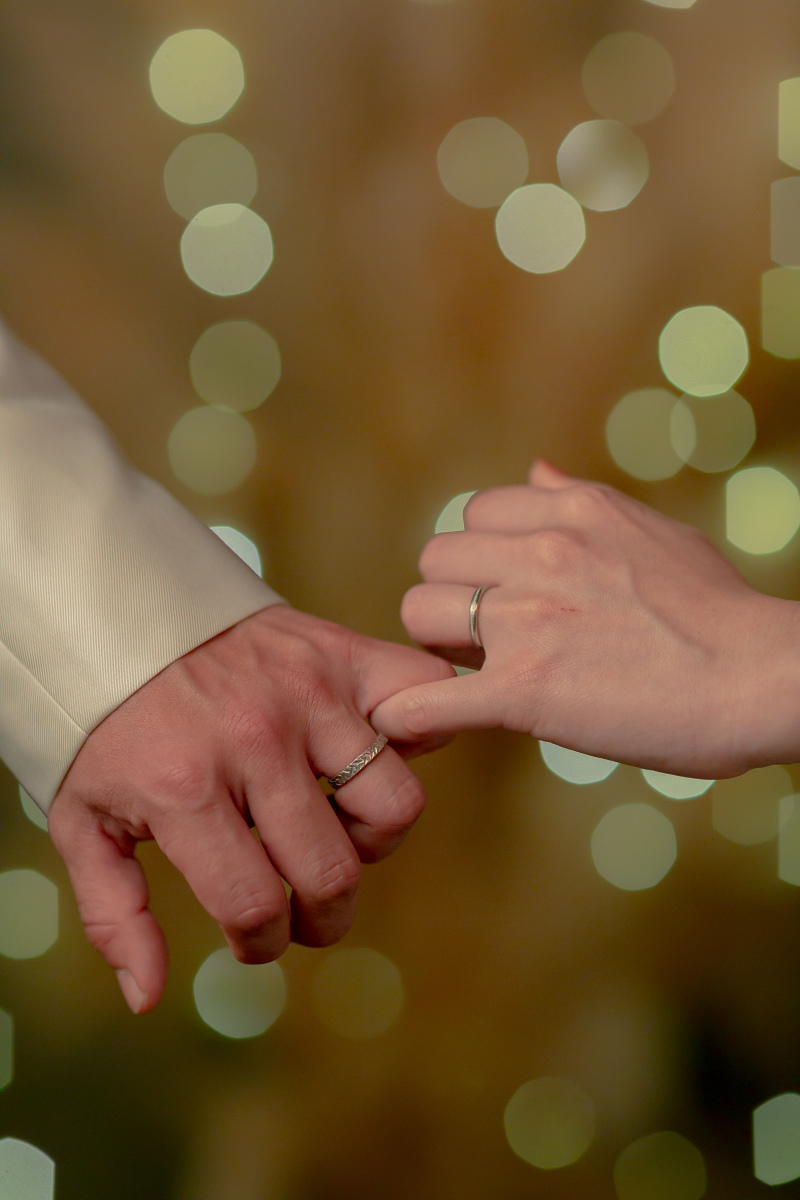 イメージカット