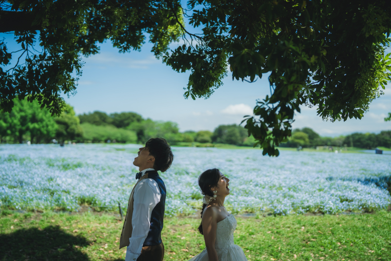木陰のひと休み