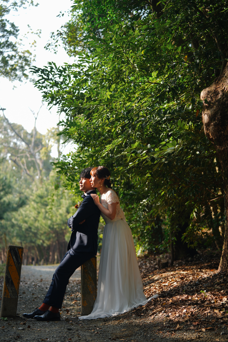 差し込んでいる光