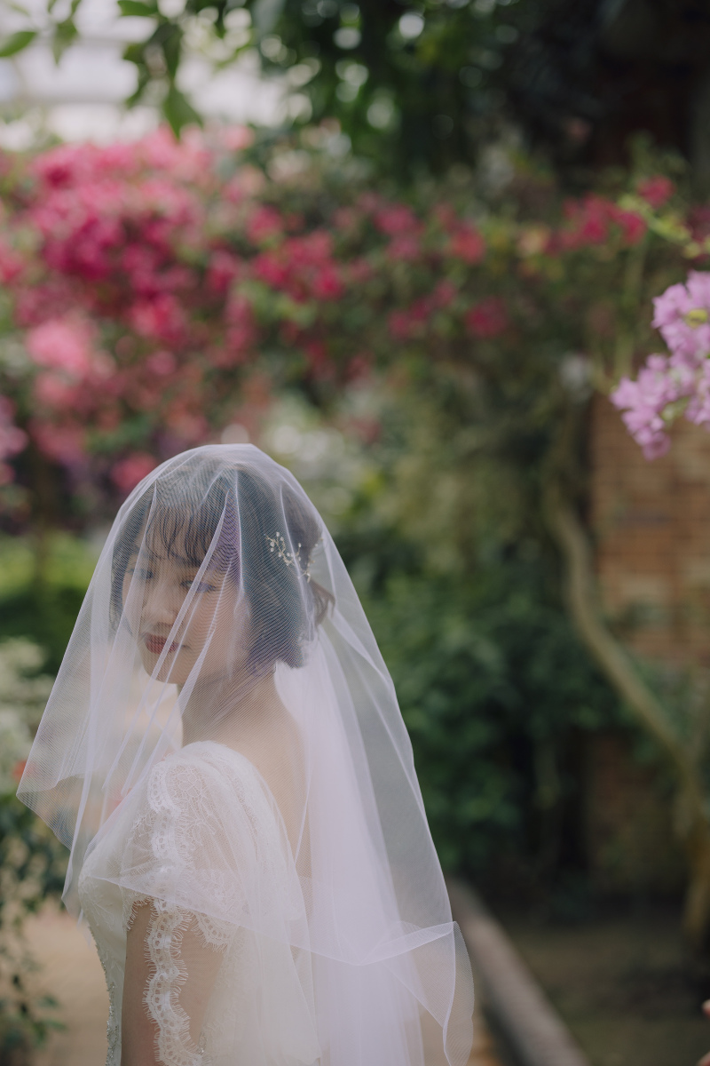 白いベールに包まれて