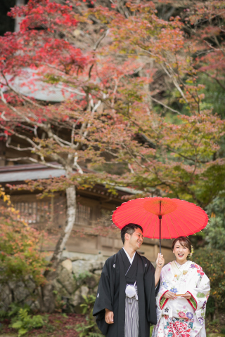 紅葉の時期も間も無く...