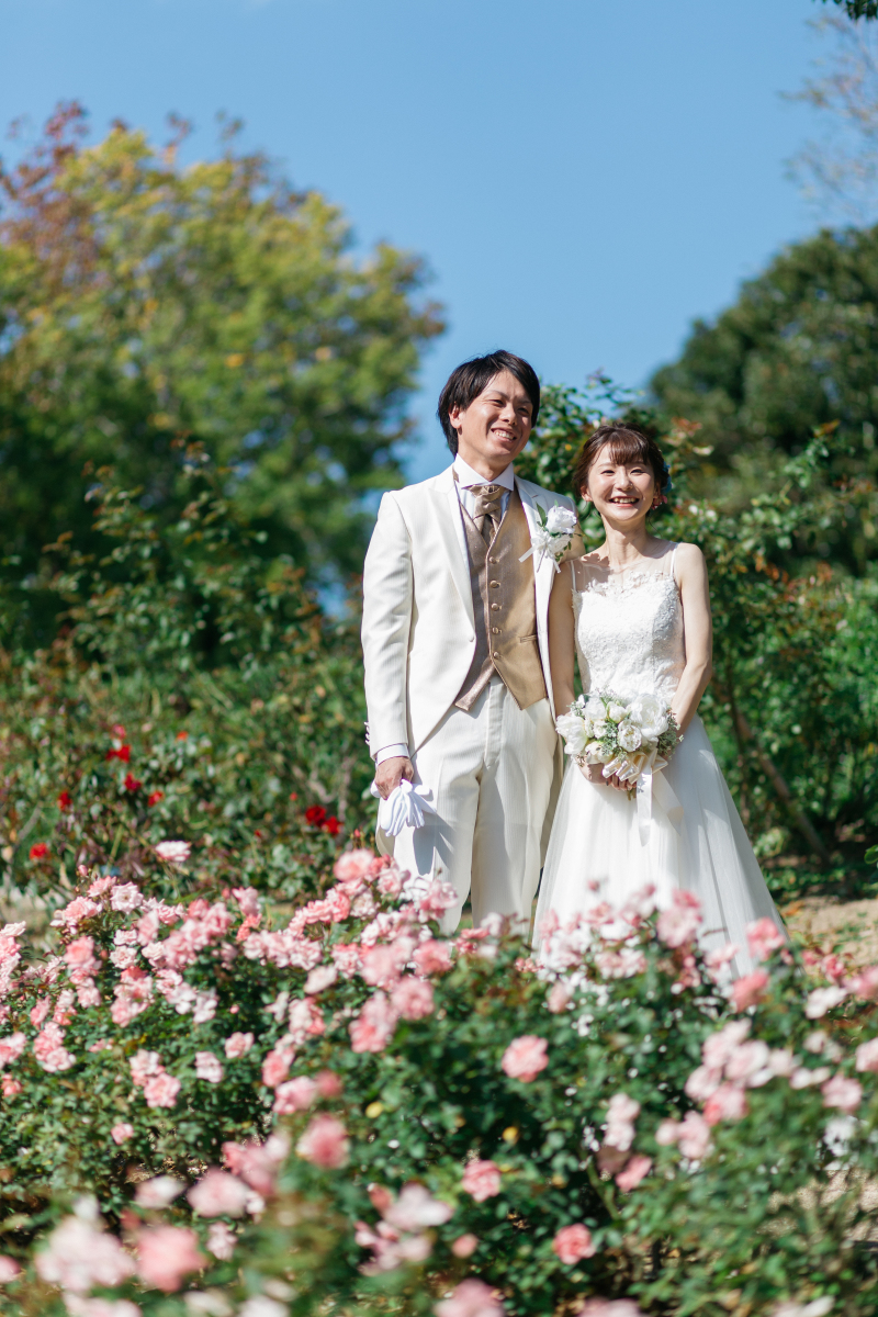 色とりどりの花々たち