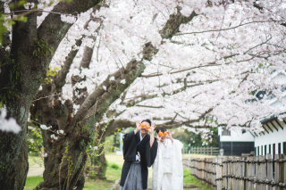 もうすぐ桜の時期！