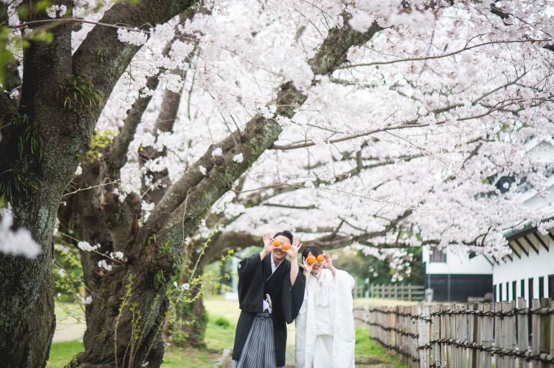 もうすぐ桜の時期！