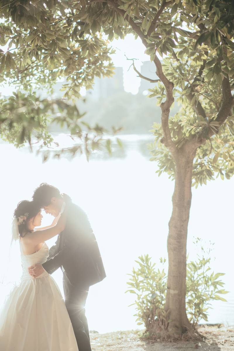 優しい光に包まれて