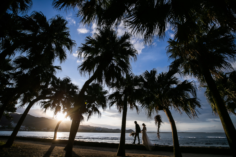神秘の島　青島