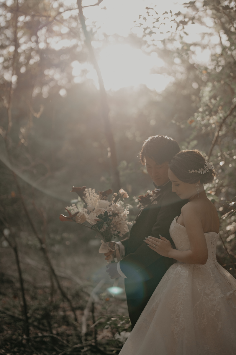 優しく差し込む光