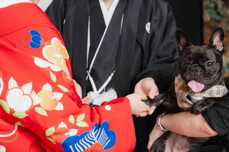 ラヴィファクトリー福岡店_ペットと一緒に撮影できる