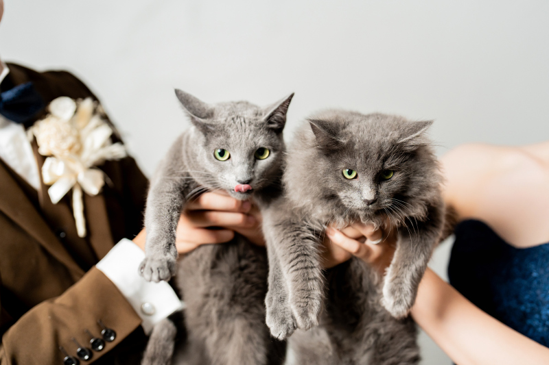 ラヴィファクトリー福岡店_ペットと一緒に撮影できる