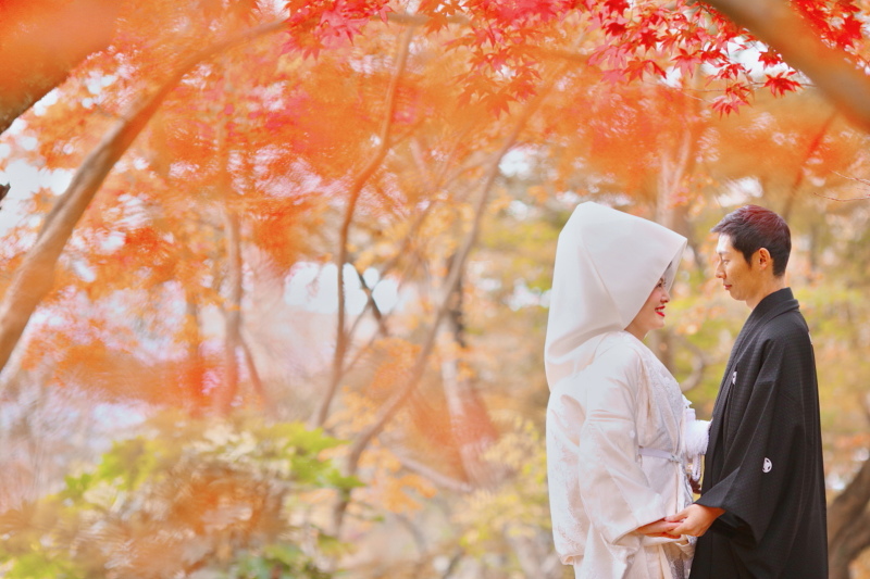 四季を彩った写真が得意です。