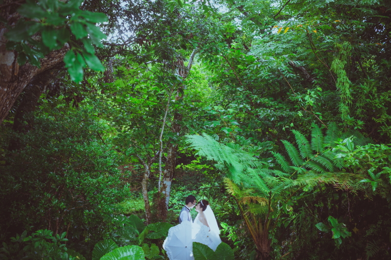 バンナ公園も魅力的