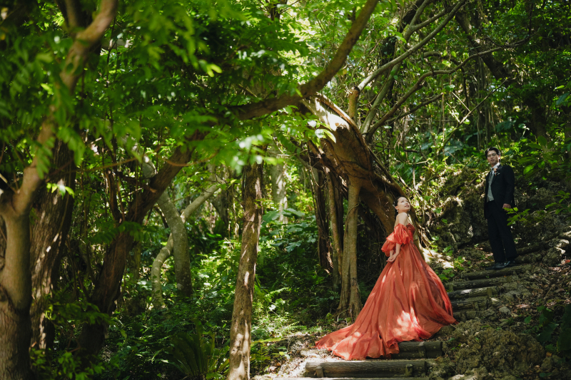 ホロホローの森