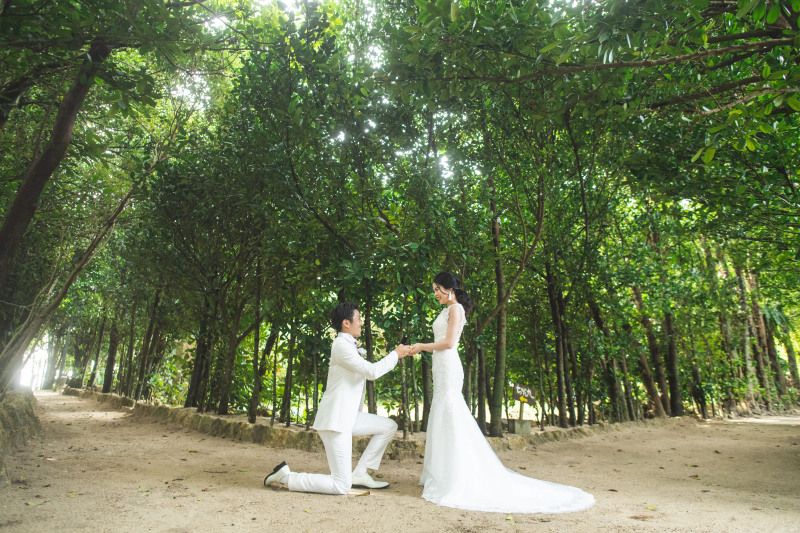 並木のように、キミのとなりを歩んでいきたい