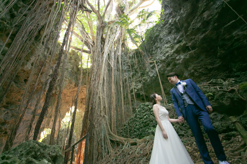 ガジュマルの木の下で