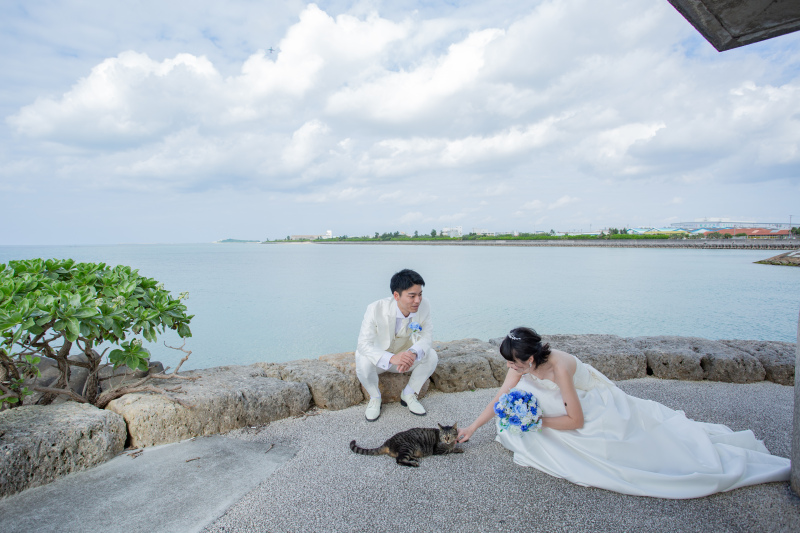 突然の訪問者？