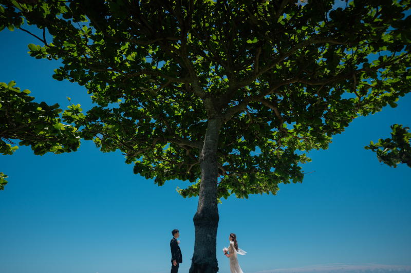 青と白に包まれる