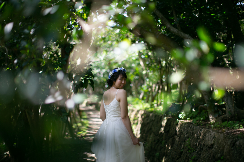 大自然のスタジオ