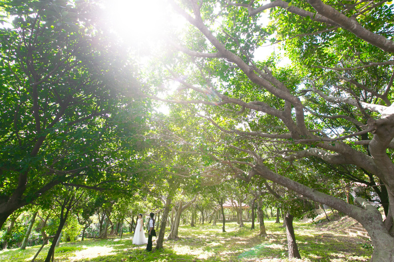 ２人のだけの空間に