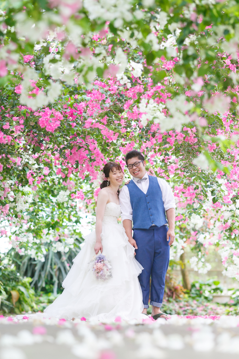 ブーゲンビリア