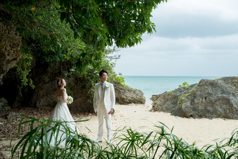 海風に樹々が揺らぐ