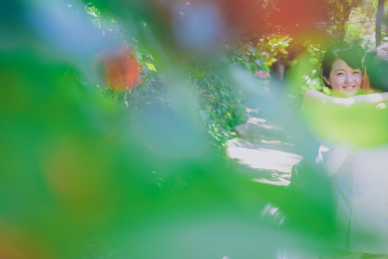 「福を呼ぶ木」フクギ