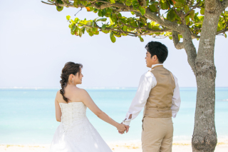 癒しのひととき