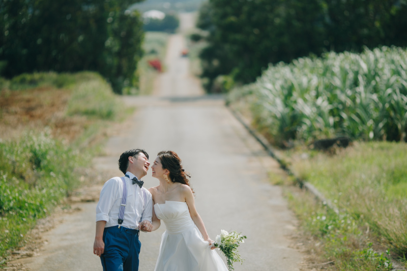 さとうきび畑で