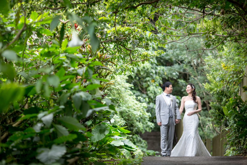 森の道でのお散歩