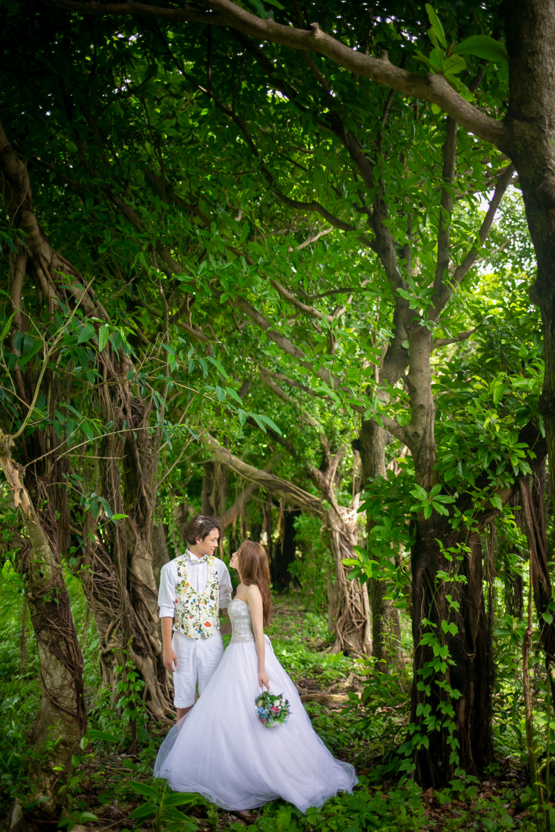 ガジュマルの木