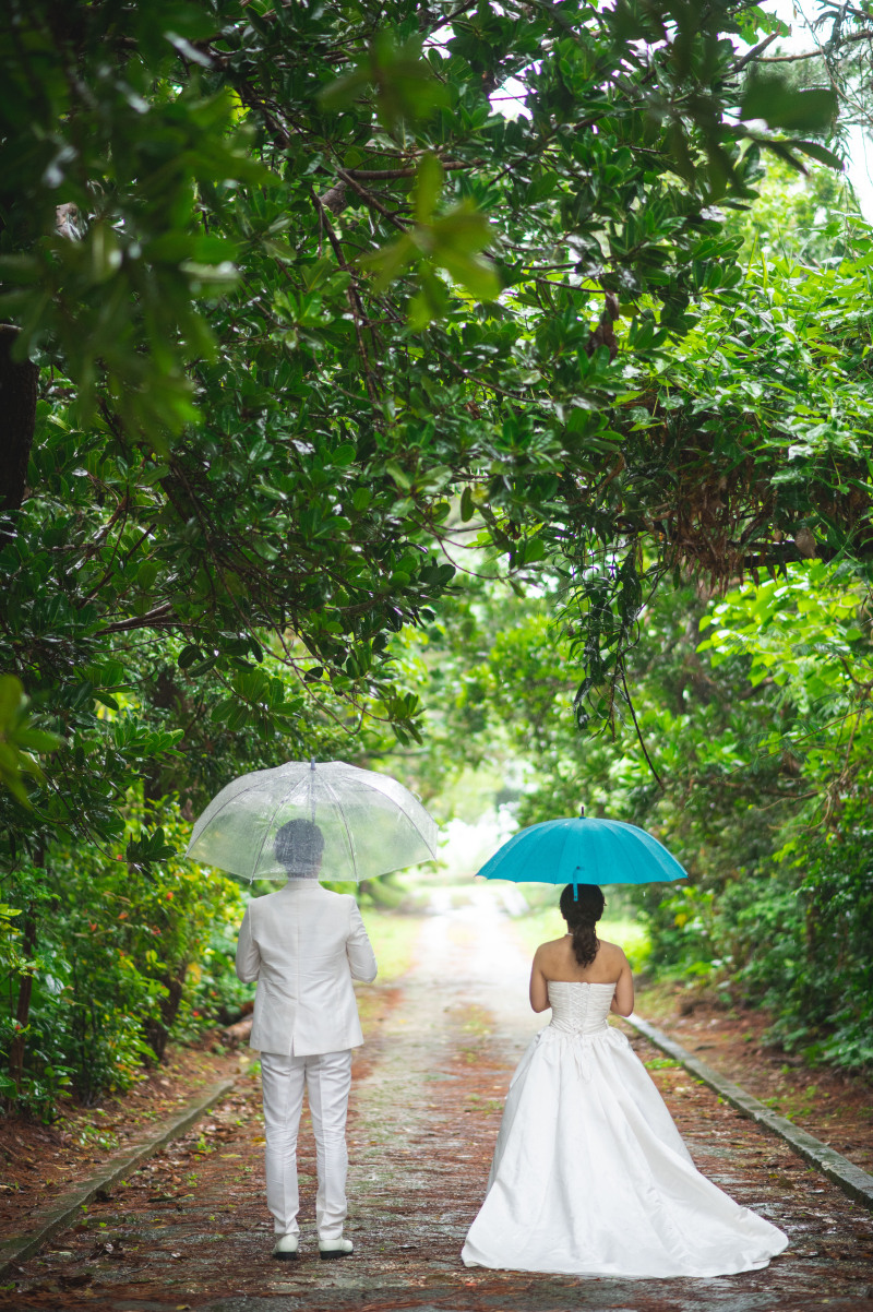 美しい雨の中で
