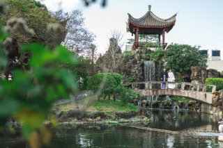 美しい庭園×ビーチフォト