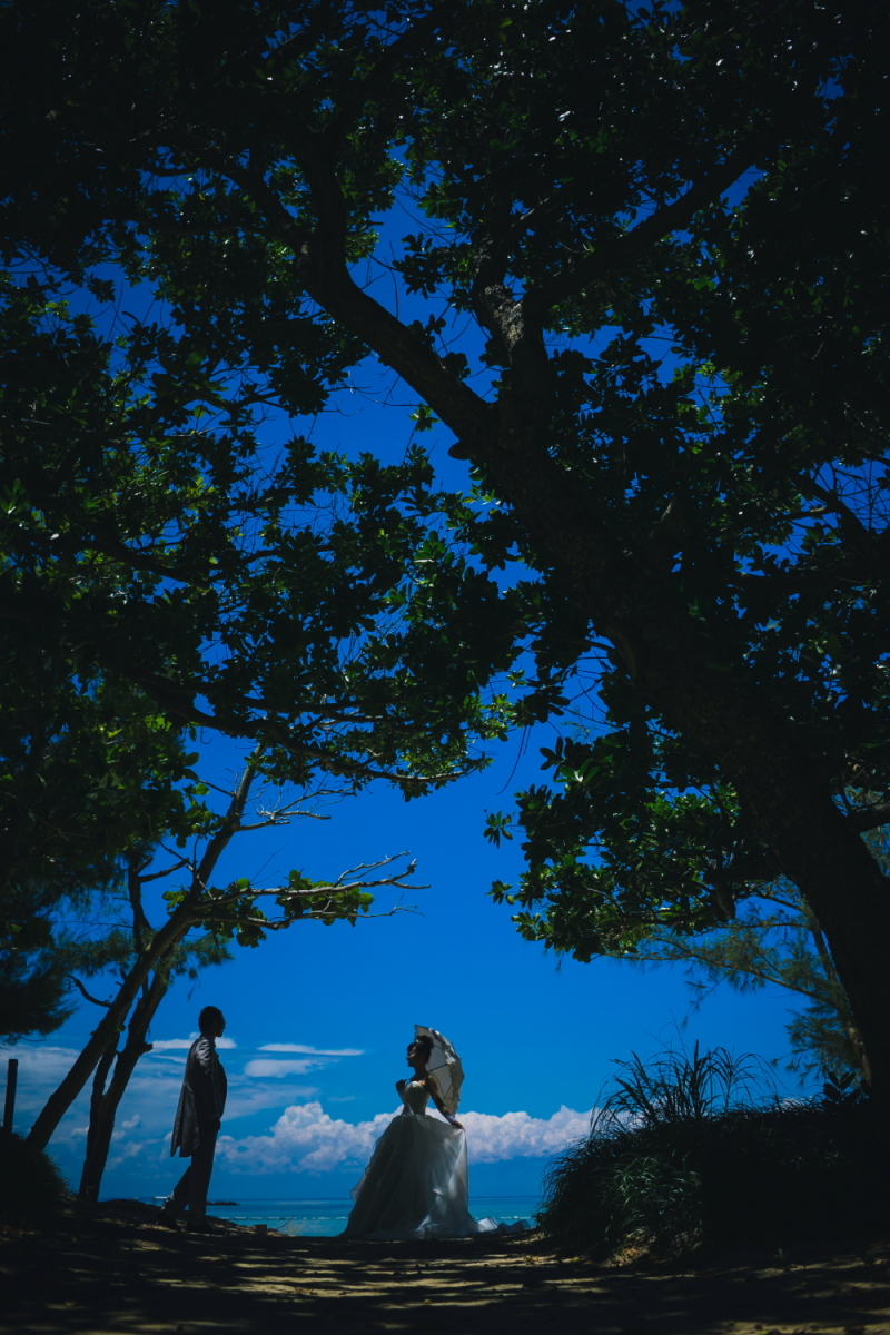 シルエットでドラマティックな出会い