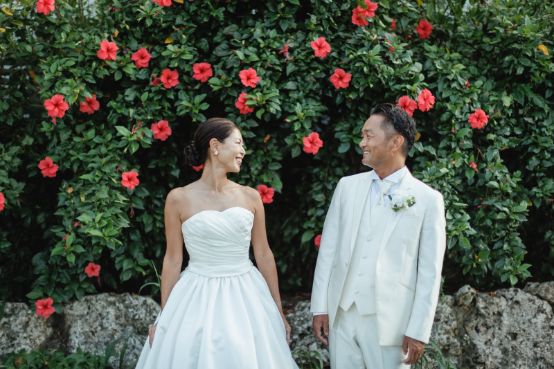 キレイなハイビスカスと