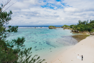 自然を囲まれた旅