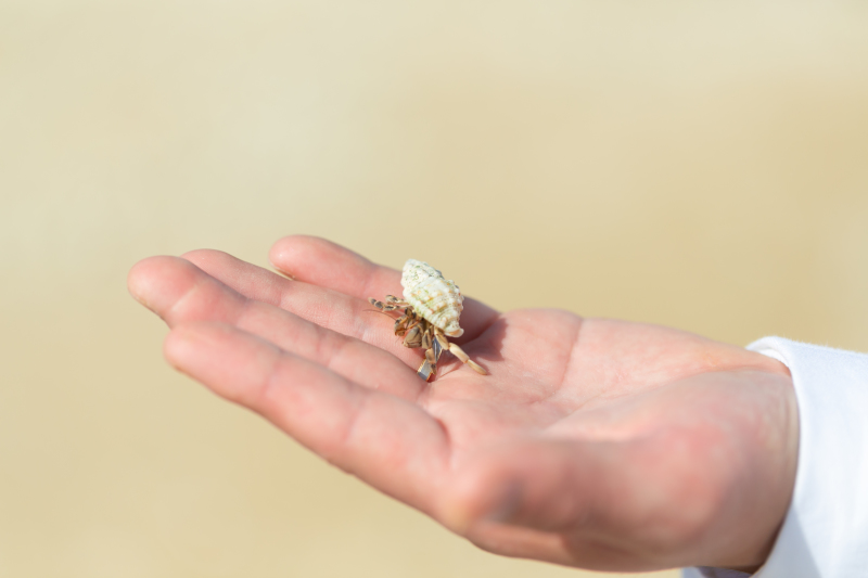 撮影中の出会い