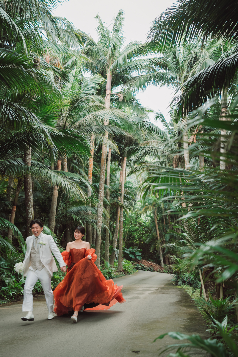 ヤエヤマヤシに囲まれて