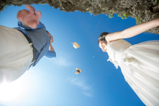 移り変わる景色