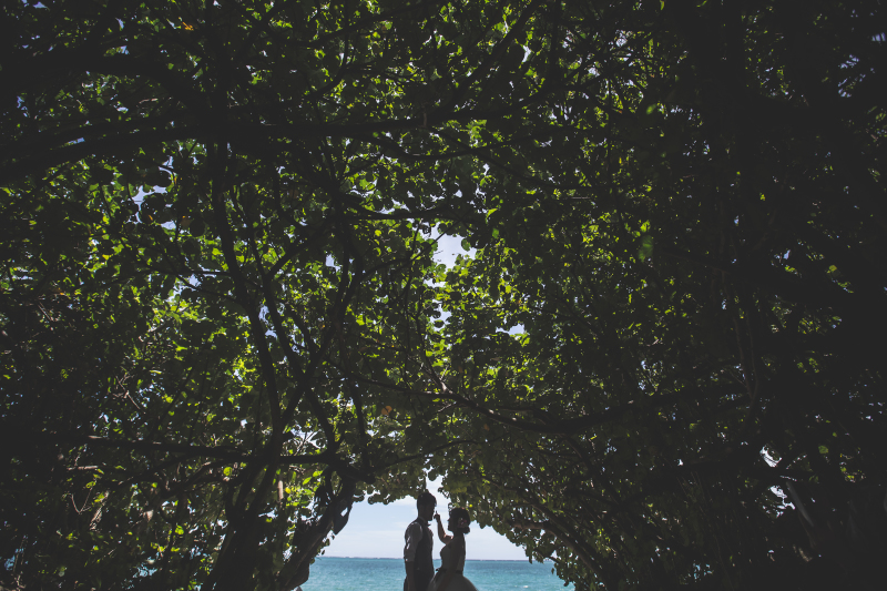 生い茂る木々の中で