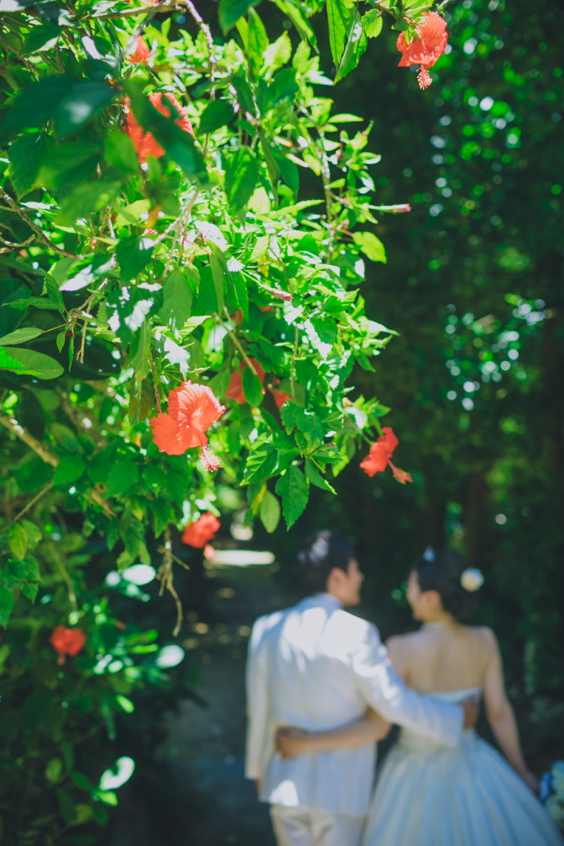 秘密の森へ、さぁ出発!!