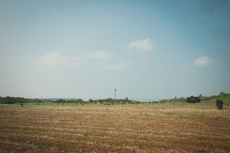 青空×畑