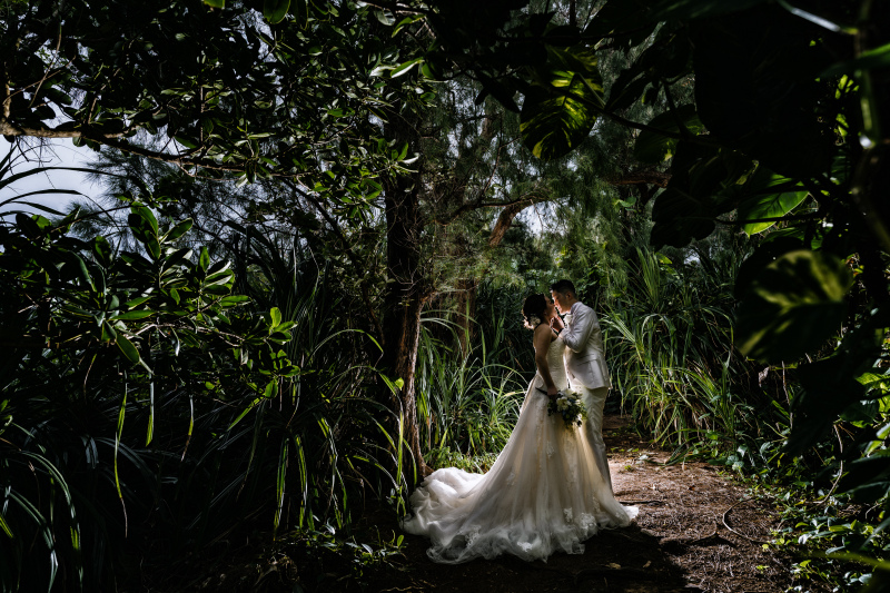 生い茂る自然に浮かぶシルエットを魅せる