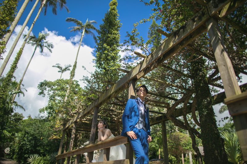 遠くを見つめて