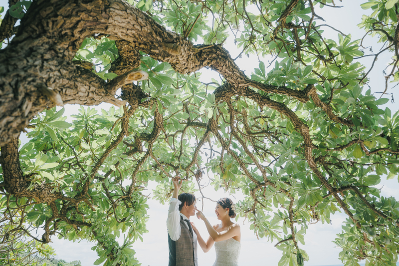 ★12月24日までの撮影限定｜宮古島ドリームキャンペーン（新婦衣装2着+全データ＋宮古島出張料込）