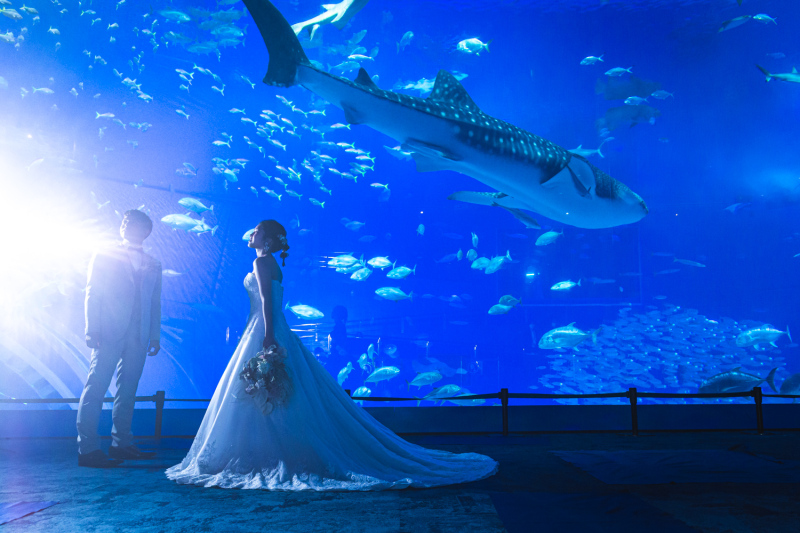 【ジンベイザメと一緒に】美ら海フォトウエディング（衣装1着・全データ付き）