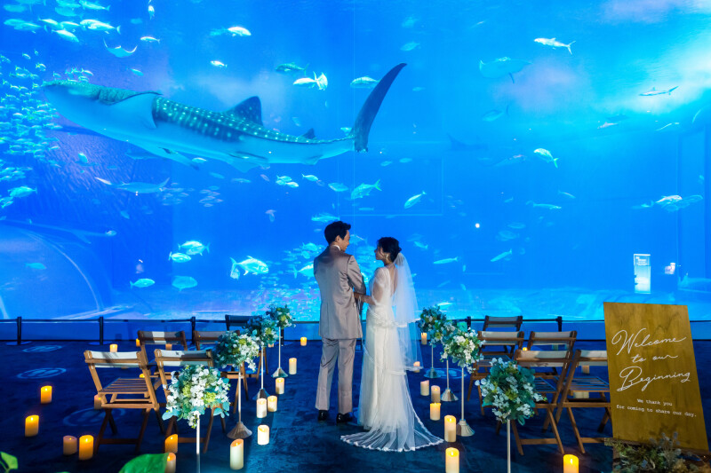 【ジンベイザメと一緒に】美ら海フォトウエディング（衣装1着・全データ付き）